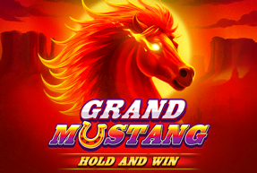 Game - 5689 - Grand Mustang